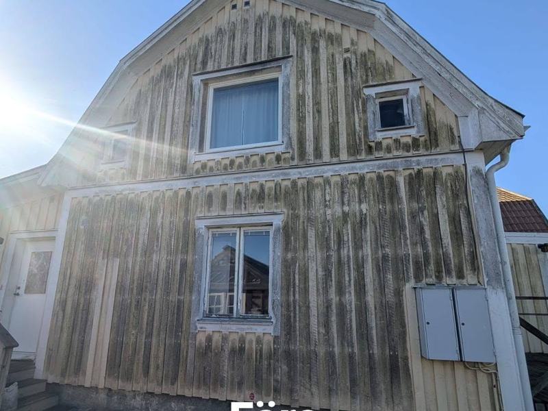 Träfasad före fasadtvätt, algpåväxt
